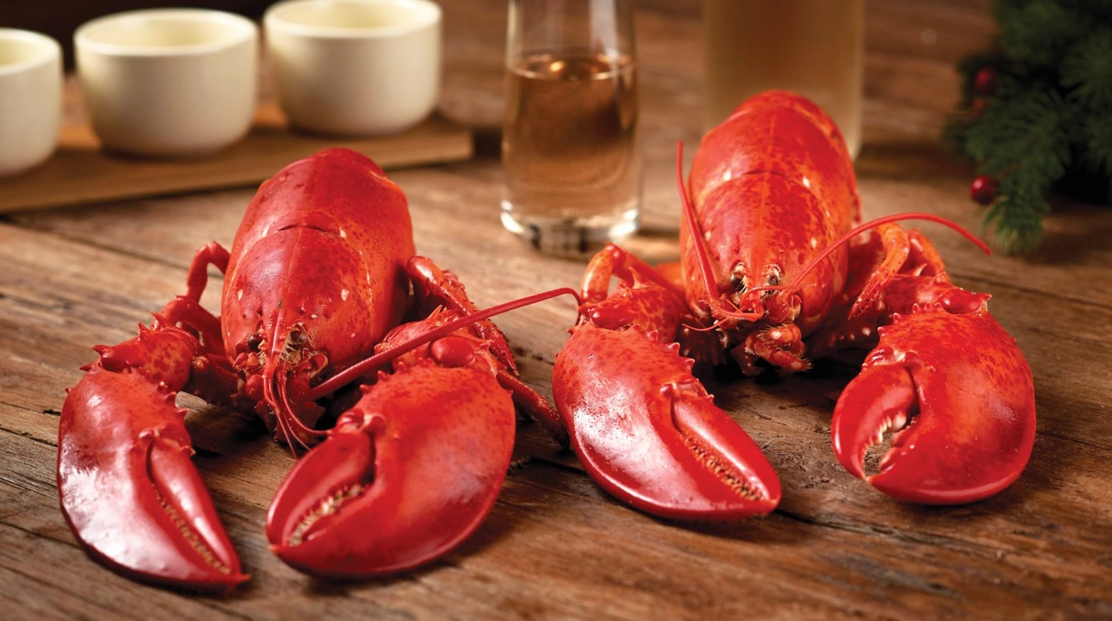 Buy Lobster Lovers Online In India